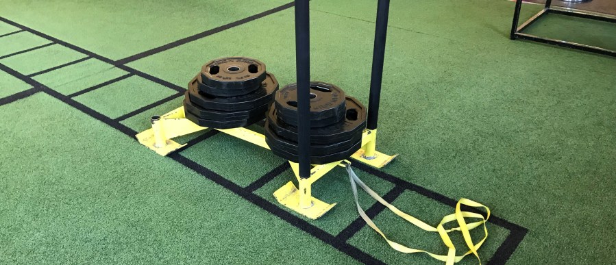 Picking the Perfect&nbsp;Sled