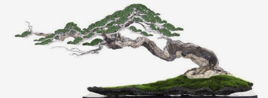 Cultivating Your Time