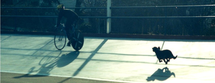 Why Cyclists Should Use&nbsp;Sleds